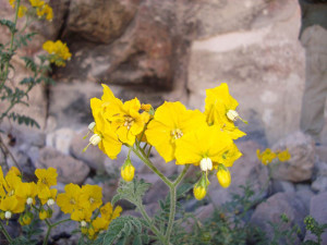 DSC00326