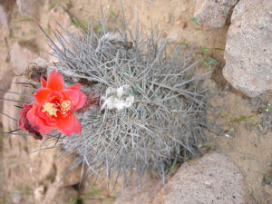 DSC04326