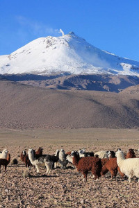 Guallatire Volcano 1
