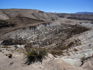 Lauca Biosphere Reserve