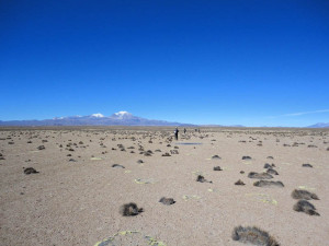 Lauca Biosphere Reserve, trekking