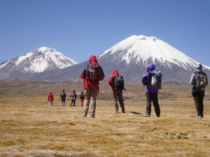 Lauca National Park, trek