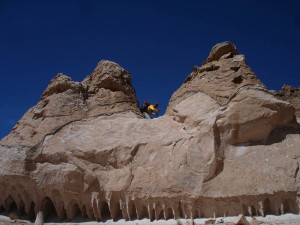 My Camel at the altiplano