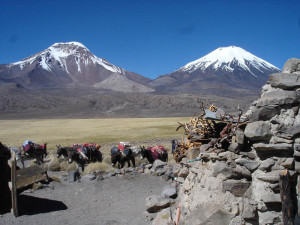 Payachatas Volcanoes