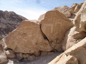 Petroglyfs, Codpa Valley (3)