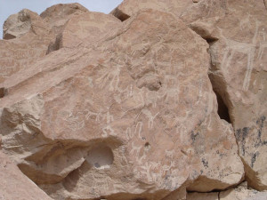 Petroglyfs, Codpa Valley (4)