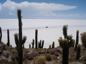 Uyni Salt Flat from Incahuasi Isle